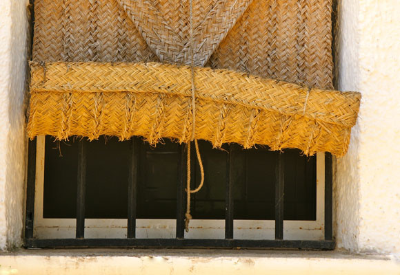 Bartró de Orfans, del olivo a la mesa 12 Bartró de Orfans