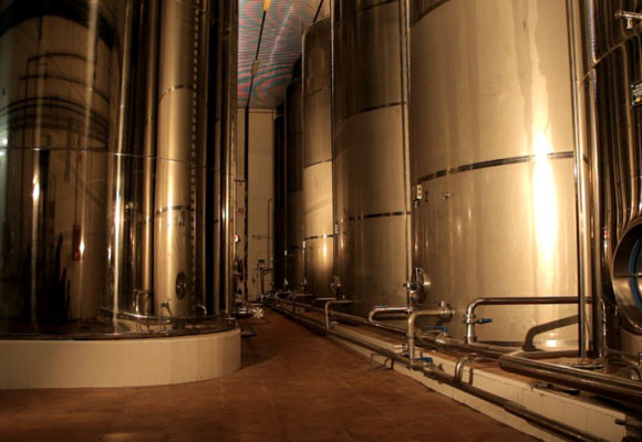 Bartró de Orfans, del olivo a la mesa 13 Bartró de Orfans