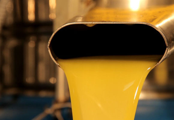 Bartró de Orfans, del olivo a la mesa 14 Bartró de Orfans