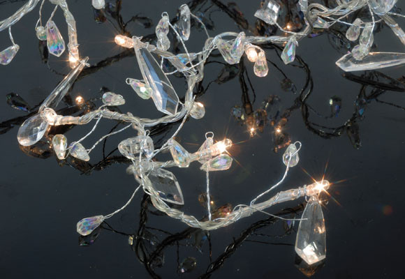 El anfitrión perfecto