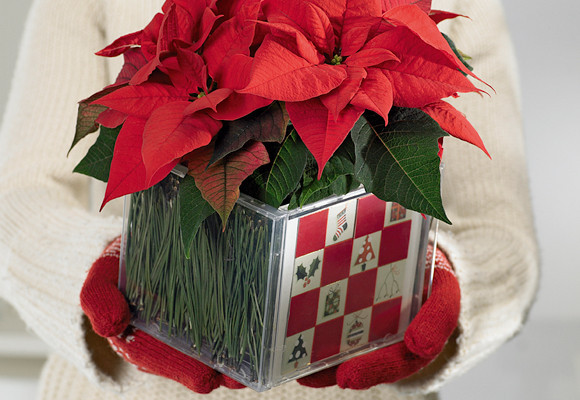 Centro de mesa de Navidad