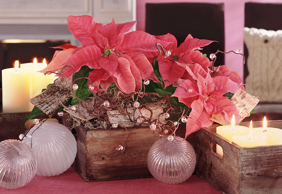 Centro de mesa de Navidad