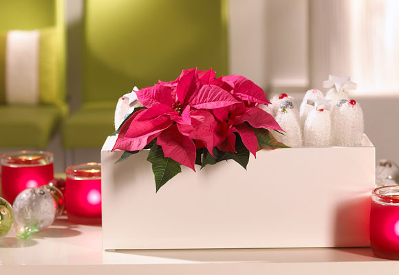 Centro de mesa de Navidad