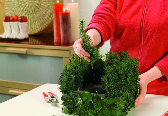 Estrellas de Poinsettia 8 Centro de mesa de Navidad