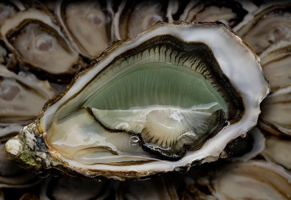 Productos gourmet para celebrar el fin de año 