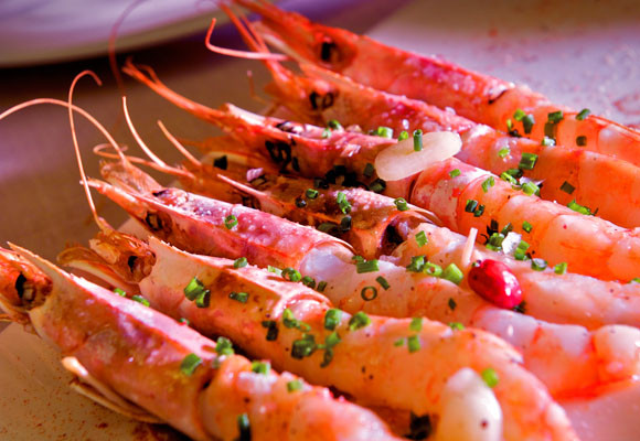 Restaurante Surtopia