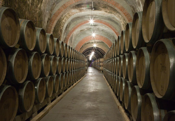 Enoturismo de la mano de Bodegas Protos 