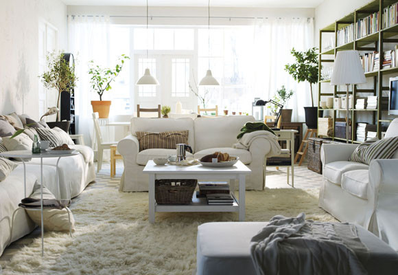 Cuidados de verano para plantas de interior