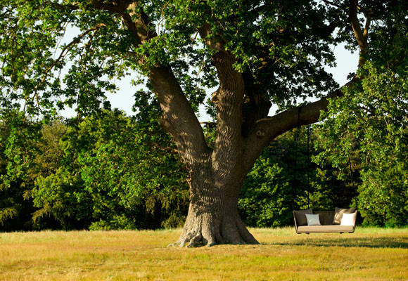 Vacaciones de colores 2 Vacaciones verdes