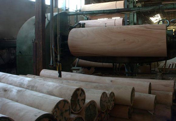 Tipos de madera para muebles 