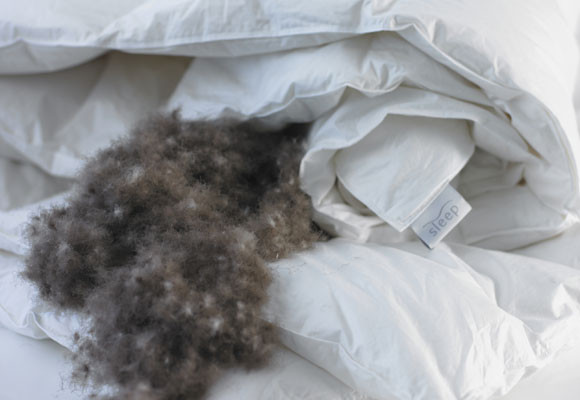 Cosas que debes hacer en casa