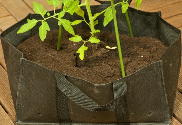 Huerto urbano: todo lo qué necesitas 7 Huerto urbano