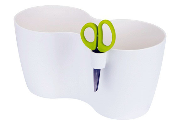 Cultivar plantas aromáticas en casa 