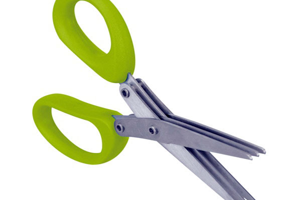 Cultivar plantas aromáticas en casa 