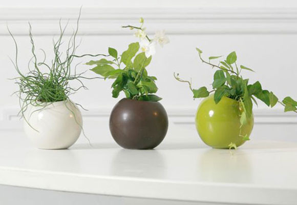 Club de ventas privadas Mooimaak