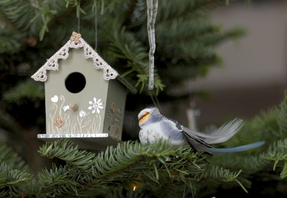 Casitas de madera para colgar en el árbol 7 Casitas de madera para colgar en el árbol