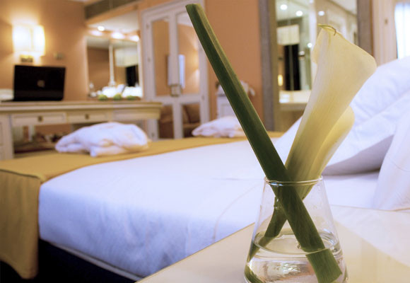 Hotel Occidental Miguel Ángel