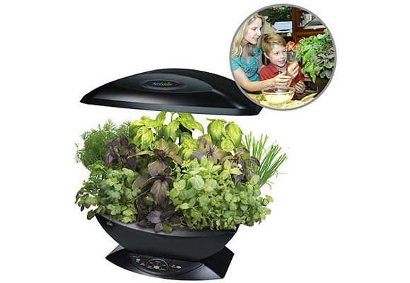 Un pequeño huerto en el interior de casa