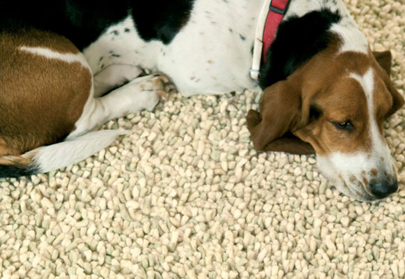 ¿Para qué son las alfombras? 15 ¿Para qué son las alfombras?