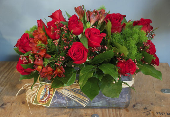 Centros de rosas rojas