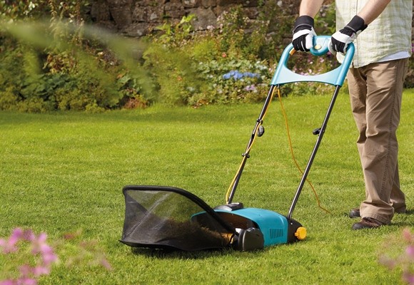 Cuidados fin de invierno para tus plantas 