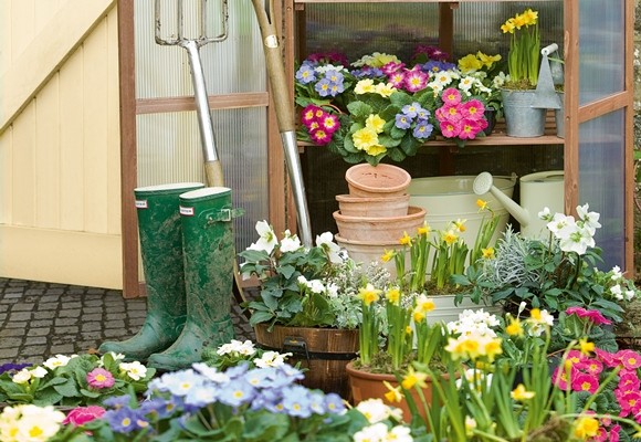 Cómo hacer un jardín sostenible tú mismo 