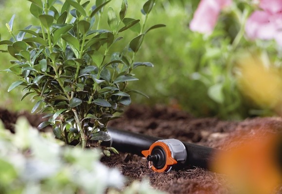 Cómo hacer un jardín sostenible tú mismo 