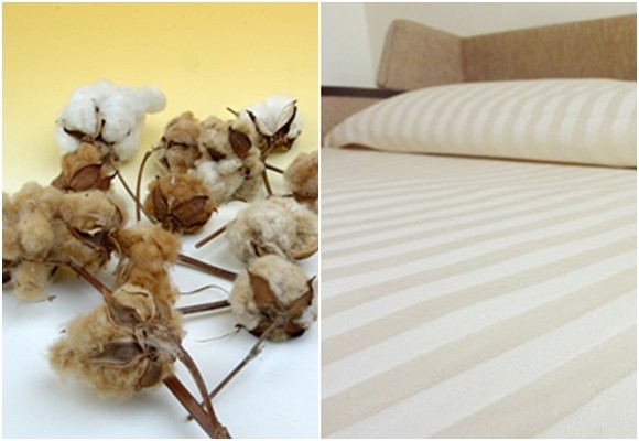 Ropa de cama de algodón orgánico