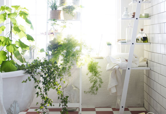 Decora el baño con plantas 