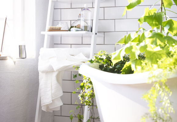 Decora el baño con plantas 