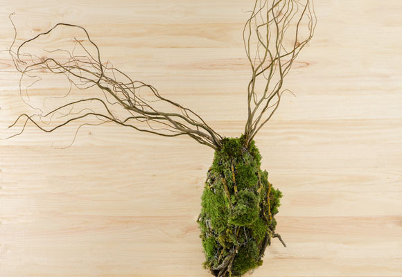 Glenfiddich Collection 125 