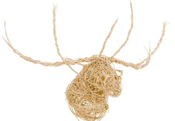 Glenfiddich Collection 125 