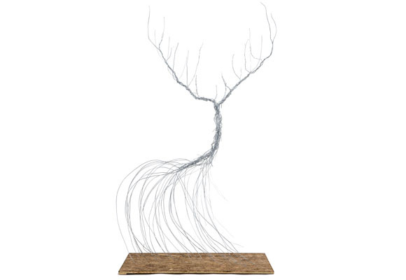 Glenfiddich Collection 125 