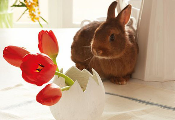 Un florero de pascua 11 Un florero de pascua