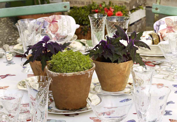 Un comedor lleno de mariposas 