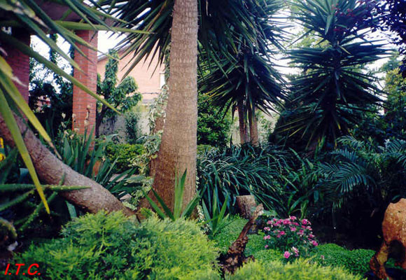 Cómo planificar un precioso jardín mediterráneo