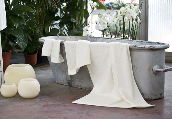 Naturaleza y color gris