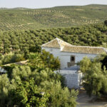 cortijo spiritu santo 2