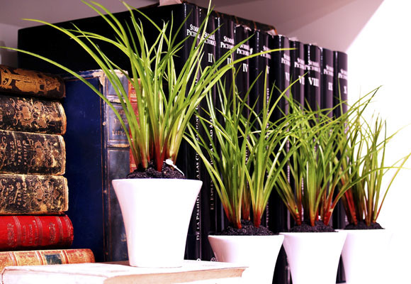 10 consejos para aislar tu casa del calor del verano