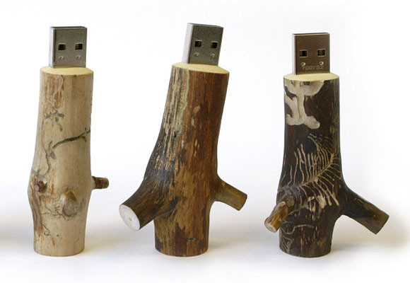 Objetos decorativos con ramas secas