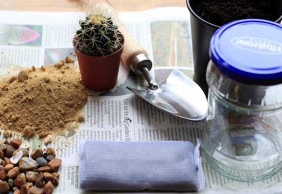 Cómo hacer un terrario con cáctus en un frasco de cristal