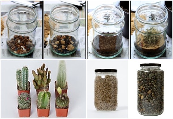 Cómo hacer un terrario con cáctus en un frasco de cristal