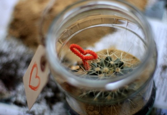 Cómo hacer un terrario con cáctus en un frasco de cristal