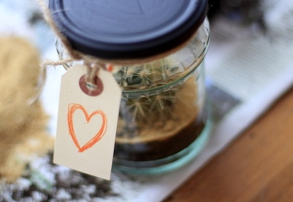 Cómo hacer un terrario con cáctus en un frasco de cristal