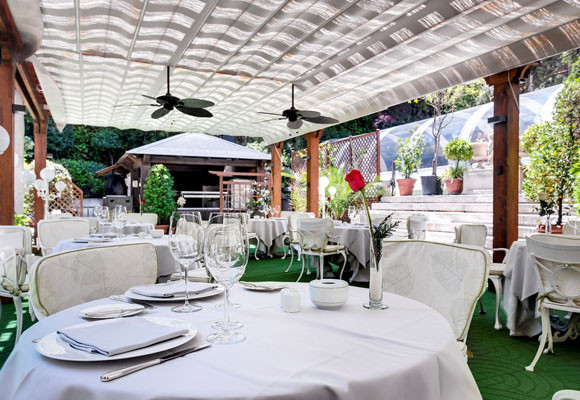 OCCIDENTAL MIGUEL ÁNGEL