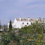 cortijo suerte alta 3