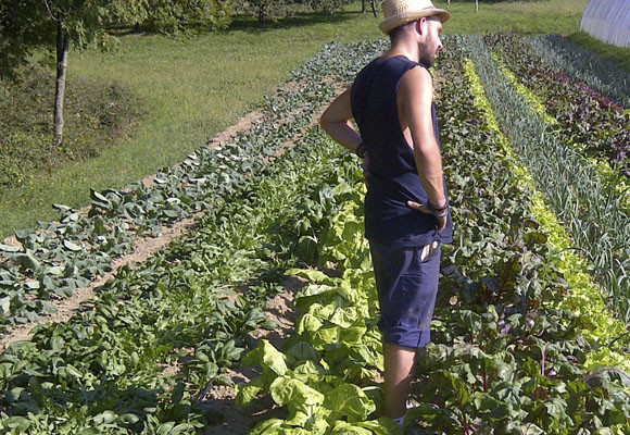 Alimentación sana y respectuosa con el medio ambiente