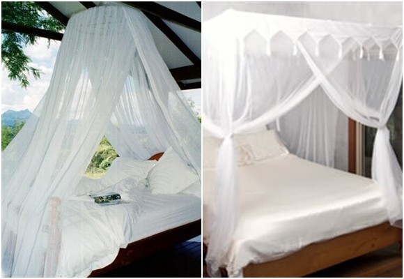 Un verano a salvo de picaduras