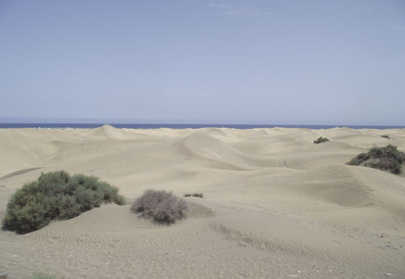 De paseo por Gran Canaria 10 De paseo por Gran Canaria