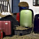 salvador bachiller 1